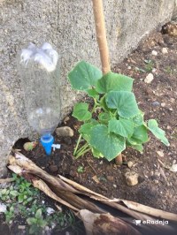 Komentar korisnika 3