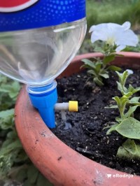 Komentar korisnika 5