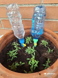 Komentar korisnika 6